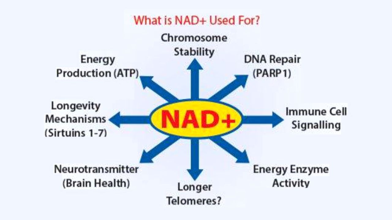 IV NAD THERAPY - MY CONCIERGE MD
