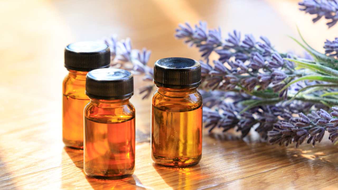 Lavender - Aromatherapy for Sleep Apnea - My Concierge MD
