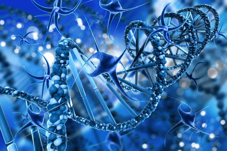 Regenerative Medicine Research